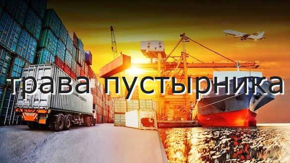 трава пустырника